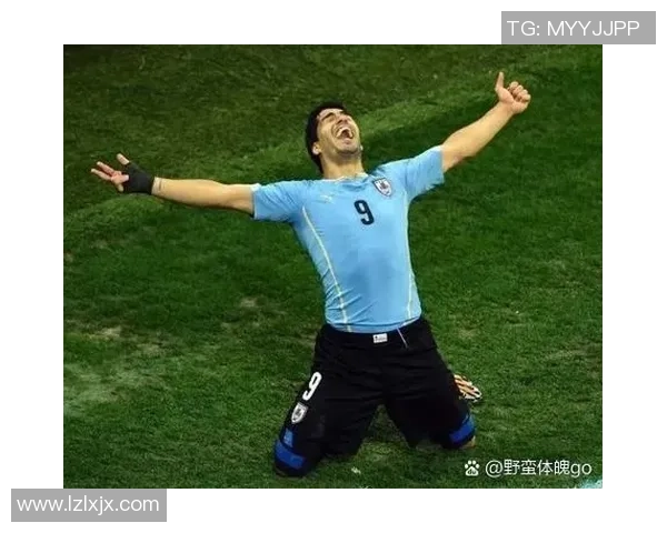 谢什科的传奇人生与足球生涯的辉煌成就探秘